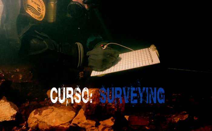 curso TDI Surveying